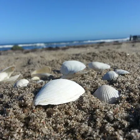 فندق Hubertusburg 4*